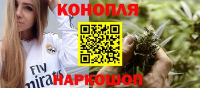 сатива Краснознаменск