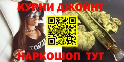 сатива Краснознаменск