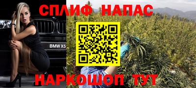 сатива Краснознаменск