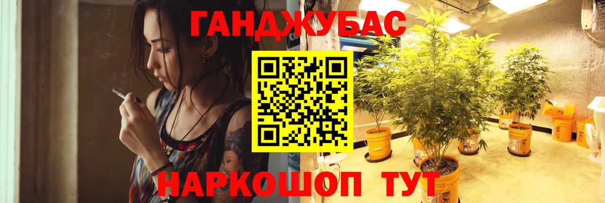 Шишки марихуана планчик Звенигород